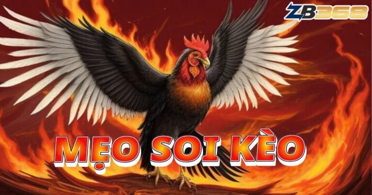 5 Mẹo Soi Kèo Đá Gà Tại ZB368 Từ Chuyên Gia