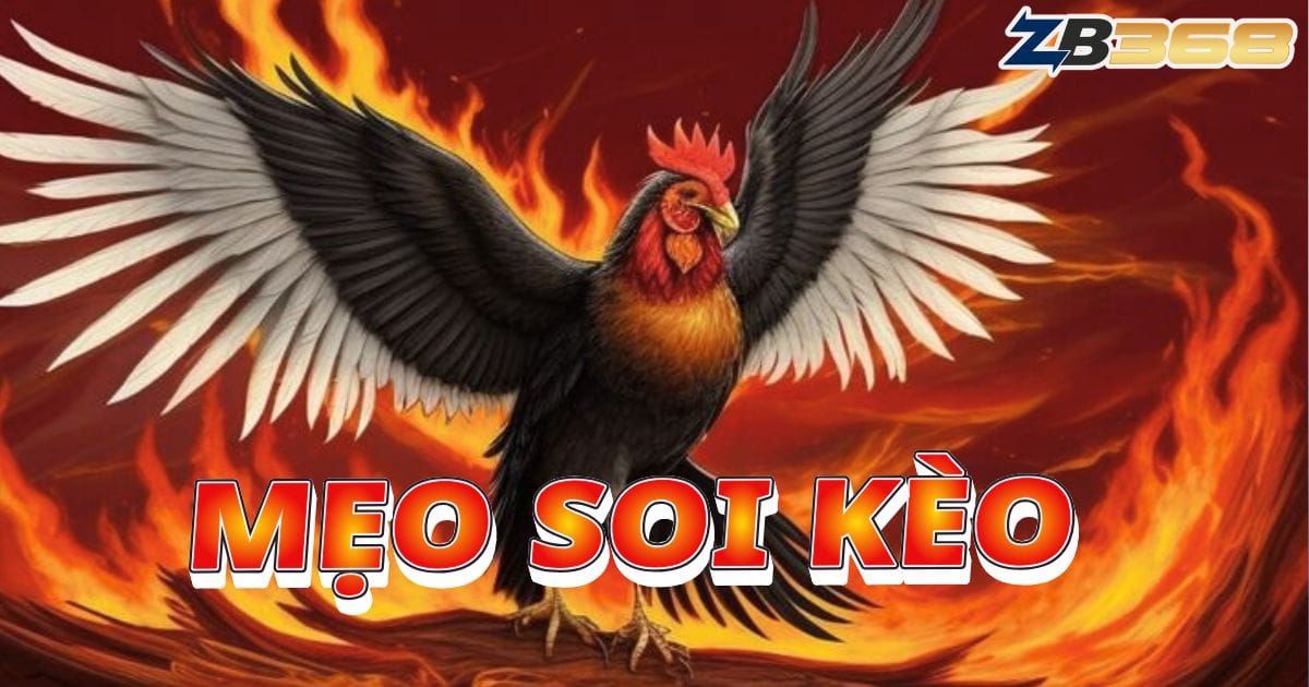 5 Mẹo Soi Kèo Đá Gà Tại ZB368 Từ Chuyên Gia