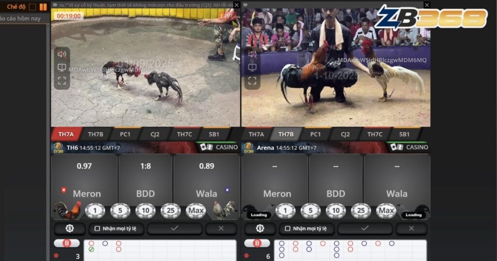 SV388 Là Gì? Khám Phá Sảnh Đá Gà Hàng Đầu Tại ZB368