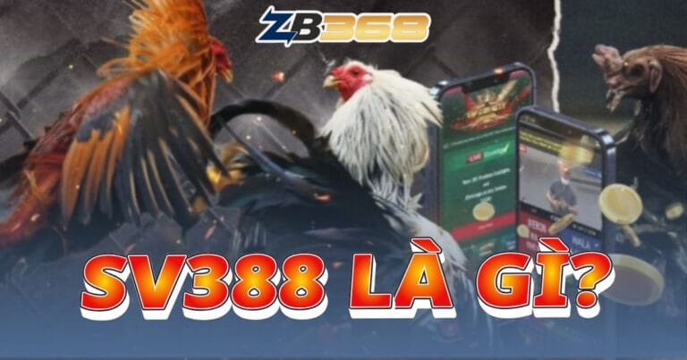 SV388 Là Gì? Khám Phá Sảnh Đá Gà Hàng Đầu Tại ZB368